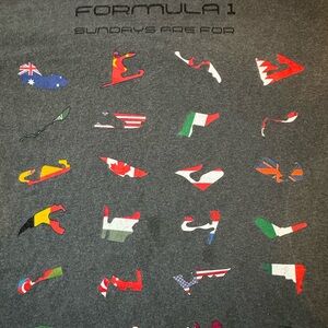 FORMULA 1 “ Sundays are For” Gray Graphic T-Shirt